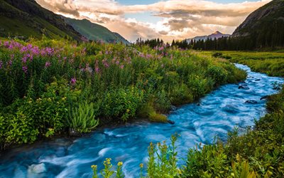 mountain river, sunset, mountain landscape, green grass, wildflowers, Colorado, USA