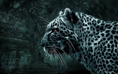 leopard, 3D-konst, m&#246;rker, rovdjur