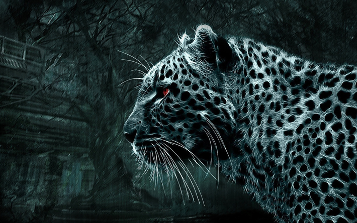 leopard, 3D art, darkness, predators