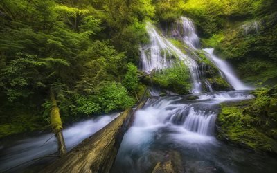 Panther Creek Falls, waterfall, Columbia River Gorge, forest, mountain waterfall, Gifford Pinchot National Forest, Washington State, USA