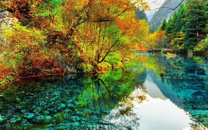 湖, 山, 森林, 国立公園, Jiuzhaigou, 中国