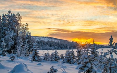 inverno, p&#244;r do sol, paisagem de montanha, neve, floresta, Su&#233;cia
