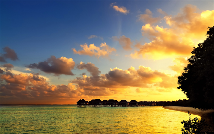 &#238;les tropicales, coucher de soleil, mer, bungalow, le soir, les palmiers, la plage, les Maldives