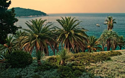 Dubrovnik, evening, sea, yachts, seascape, palm trees, Adriatic sea, Croatia