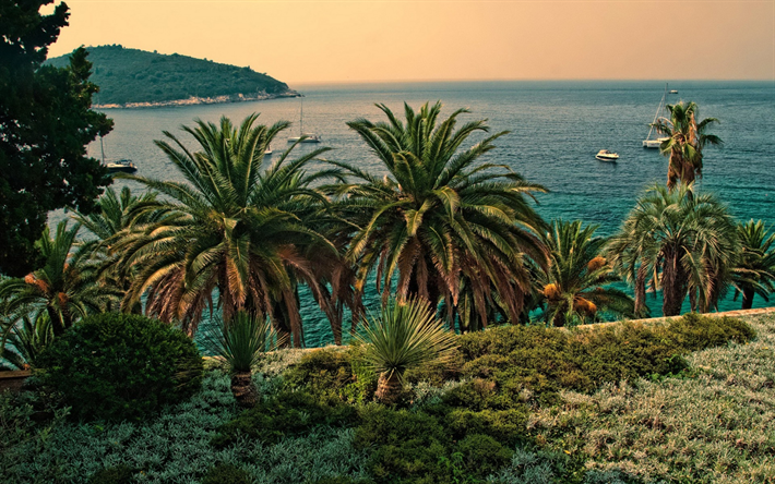 Dubrovnik, noche, mar, yates, paisaje marino, palmeras, mar Adri&#225;tico, Croacia