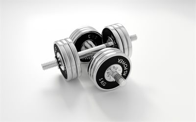 3d-metall-hanteln, sportger&#228;te, fitness, bodybuilding, hanteln