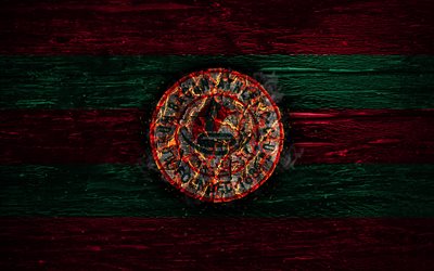Mohun Bagan FC, fire logo, I-League, red and green lines, french football club, grunge, football, soccer, logo, Mohun Bagan AC, wooden texture, India