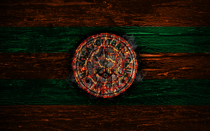 Neroca FC, fire logo, I-League, orange and green lines, indian football club, grunge, football, soccer, logo, Neroca, wooden texture, India