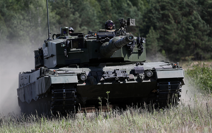 Leopard2A4, 現代タンク, ドイツ戦車, 森林, ドイツ, レオパルト2, ドイツ軍