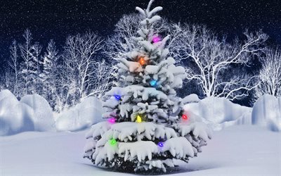 Christmas tree, winter, snowdrifts, New Year tree, Happy New Year, xmas, Christmas