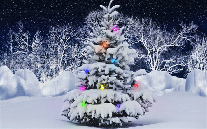 Arbre de no&#235;l, hiver, neige, arbre du Nouvel An, Happy New year, no&#235;l, No&#235;l
