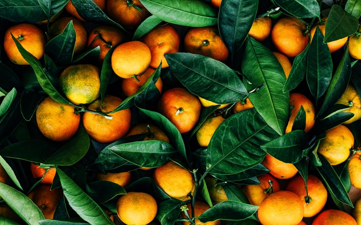 tangerines, 4k, macro, vitamins, fresh fruits, fruits