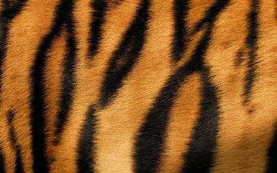 tiger skin, 4k, wool textures, orange black background, tiger textures, black orange stripes, macro, tiger skin texture, tiger backgrounds