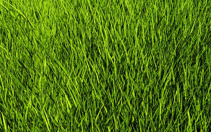 緑の草のテクスチャ, 草の背景, 緑の草原を, 添加草纹理, 芝生の背景