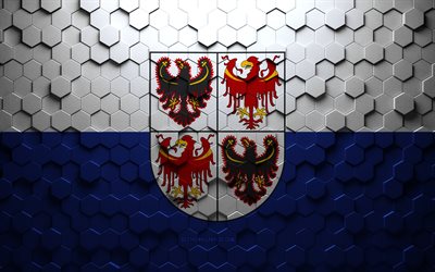 Bandeira de Trentino-Tirol do Sul, arte em favo de mel, bandeira de hex&#225;gonos de Trentino-Tirol do Sul, Trentino-Tirol do Sul, arte em 3d hex&#225;gonos, bandeira de Trentino-Tirol do Sul