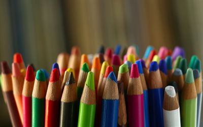 crayons de couleur, tiges de crayon, variété de concepts, différents crayons, éducation, crayons, sélection de couleurs