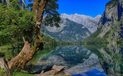 Obersee Lake, summer, mountains, Berchtesgaden Alps, Bavaria, Germany