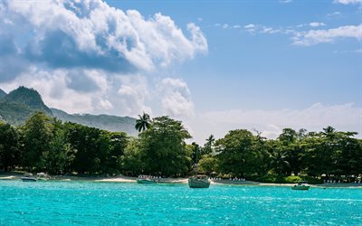 Mahe, Seychelles, Indian Ocean, tropical island, beach, palm trees, paradise