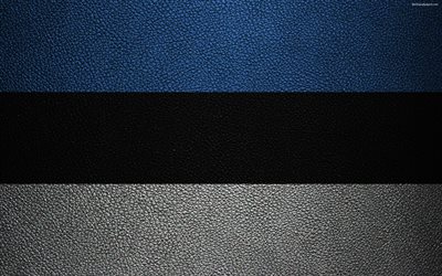 Avrupa, Estonya Estonya bayrağı, 4k, deri dokusu, Estonya bayrağı, bayraklar