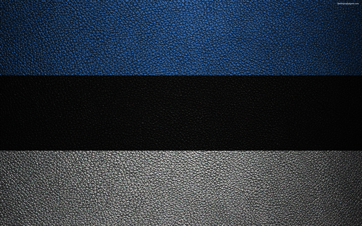 flagge von estland, 4k, leder textur, die estnische flagge europa, flaggen europas, estland
