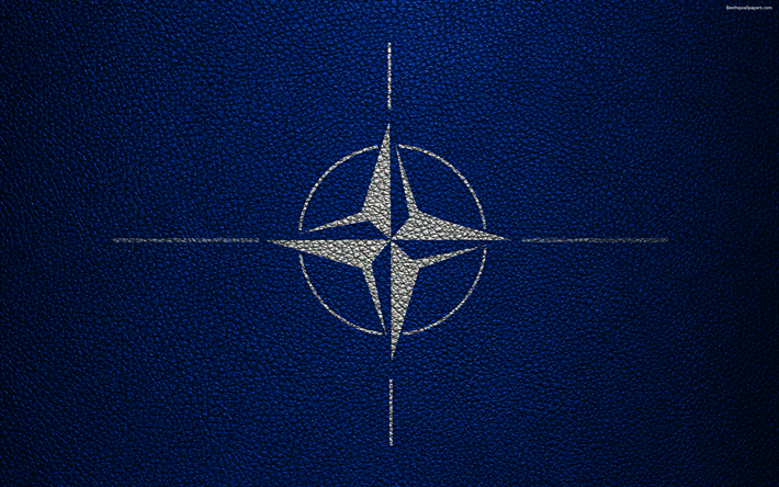 NATO, Kuzey Atlantik İttifakı, logo, amblem, deri dokusu, 4k, askeri bayrak-siyasi &#246;rg&#252;t, uluslararası organizasyon