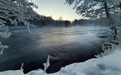 winter, morning, fog, sunrise, forest, lake, snow, winter landscape