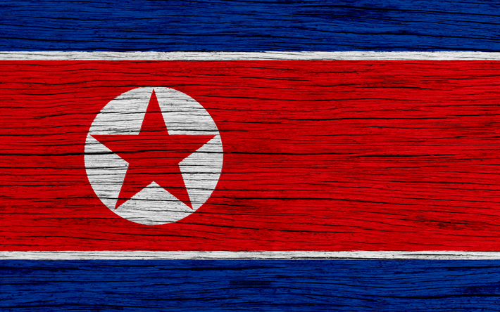 Flagga av Nordkorea, 4k, Asien, tr&#228;-struktur, NORDKOREAS flagga, nationella symboler, Nordkoreas flagga, NORDKOREA, konst, Nordkorea