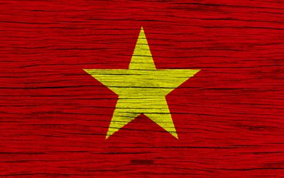 Vietnamin lippu, 4k, Aasiassa, puinen rakenne, kansalliset symbolit, art, Vietnam