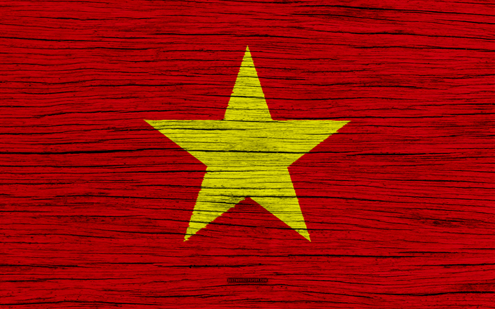 Flaggan i Vietnam, 4k, Asien, tr&#228;-struktur, Vietnamesiska flaggan, nationella symboler, Vietnam flagga, konst, Vietnam