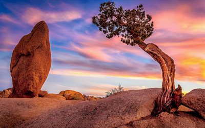 石, 夕日, 夜, 岩, カリフォルニア, 米国, ジョシュアツリー国立公園, モハベの砂漠