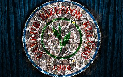 Rizespor FC, scorched logo, Super Lig, blue wooden background, turkish football club, grunge, Caykur Rizespor, football, soccer, Rizespor logo, fire texture, Turkey