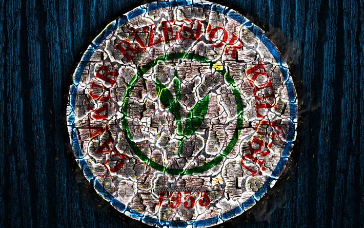 Rizespor FC, logo, S&#252;per Lig, mavi ahşap arka plan, T&#252;rk Futbol Kul&#252;b&#252;, grunge, Caykur Rizespor, futbol, Rizespor logo, yangın, doku, T&#252;rkiye scorched