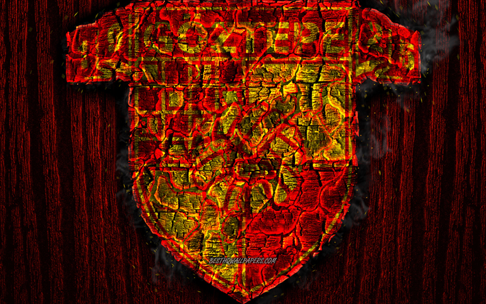 Goztepe FC, scorched logo, Super Lig, red wooden background, turkish football club, grunge, Goztepe SK, football, soccer, Goztepe logo, fire texture, Turkey