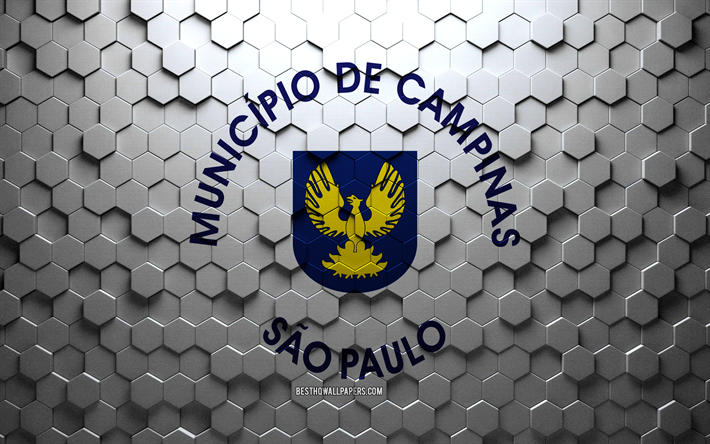 Flag of Campinas, honeycomb art, Campinas hexagons flag, Campinas, 3d hexagons art, Campinas flag