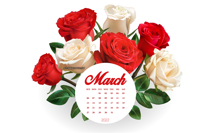 2022 March Calendar, 4k, bouquet of roses, red roses, white roses, 2022 spring calendars, March 2022 Calendar, 2022 concepts