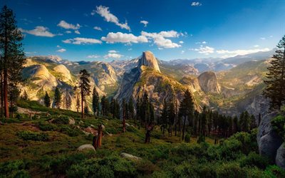 Parc national de Yosemite, pentes de montagne, forêt, montagnes, falaises, Californie, Amérique, États-Unis, belle nature, HDR, été