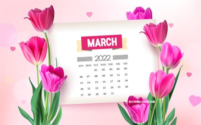 Calendrier de mars 2022, 4k, tulipes roses, fond de printemps avec des tulipes, mars, calendriers de printemps 2022, fleurs de printemps, calendrier de mars 2022