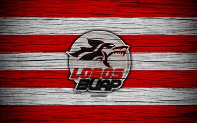 Lobos BUAP FC, 4k, Liga MX, calcio, Primera Division, Messico, Lobos BUAP, di legno, texture, club di calcio, FC Lobos BUAP