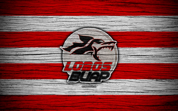 Lobos BUAP FC, 4k, Liga MX, futebol, Primeira Divis&#227;o, Mexico, Lobos BUAP, textura de madeira, clube de futebol, FC Lobos BUAP