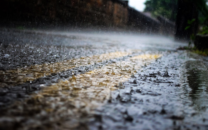 starker regen, nasse stra&#223;e, die aufteilung von linien, fahrbahnmarkierungen, regen konzepte, asphalt road