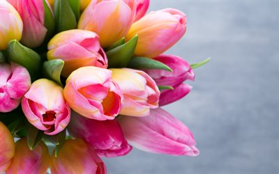 tulipanes de color rosa de la primavera, el ramo, las flores de color rosa, de la primavera, los tulipanes