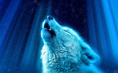 lobo branco, 4k, noite, predadores, fantasia de lobo, a vida selvagem, lobo, Canis lupus arctos