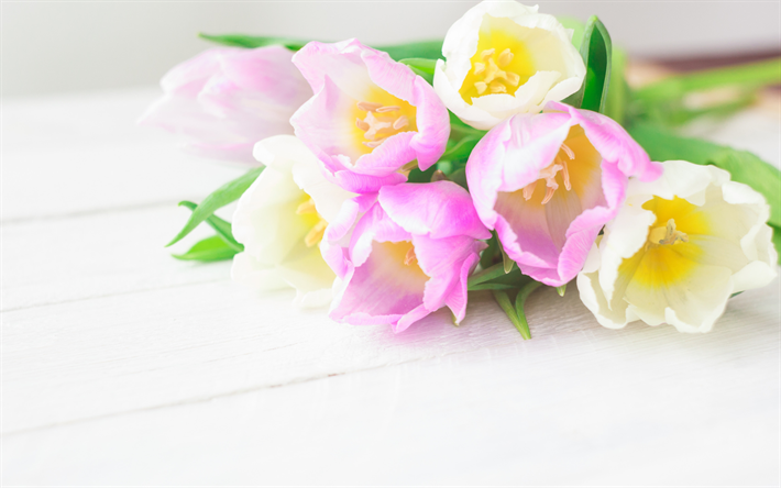 vaaleanpunainen tulppaanit, kaunis kukka tausta, kev&#228;&#228;n kukat, tulppaanit, kaunis kimppu, tausta kortti tulppaanit
