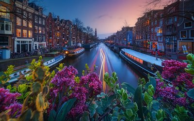 Amsterdam, evening, canal, boats, cityscape, city lights, Netherlands
