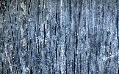 texture du bois gris, fond de bois gris, texture du bois, bois fissur&#233;, texture du bois fissur&#233;