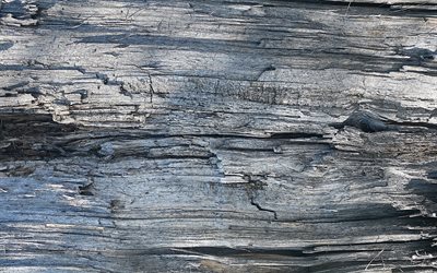 4k, texture en bois gris, macro, motifs en bois horizontaux, planches de bois, planches en bois gris, fonds en bois, arri&#232;re-plans gris, textures en bois