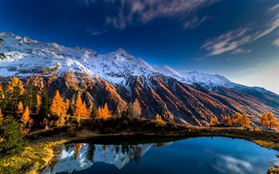Lago Nero, Schwarzsee, Alpi Bernesi, sera, tramonto, lago di montagna, paesaggio di montagna, foresta, Alpi, Svizzera