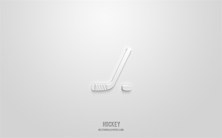 hockey 3d ikon, vit bakgrund, 3d symboler, hockey, sport ikoner, 3d ikoner, hockey tecken, sport 3d ikoner