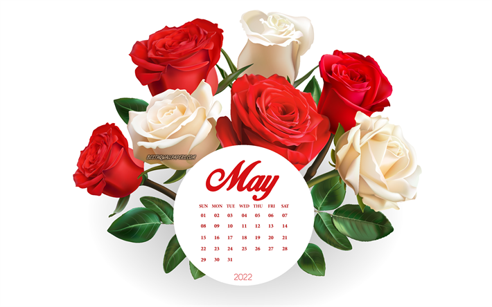 2022 maj kalender, 4k, bukett rosor, r&#246;da rosor, maj, vita rosor, 2022 v&#229;rkalendrar, maj 2022 kalender, 2022 koncept