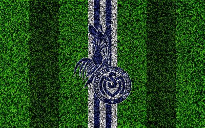 MSV Duisburg, 4k, German football clubs, football lawn, logo, emblem, blue white lines, Bundesliga 2, Duisburg, Germany, football, grass texture, Duisburg FC